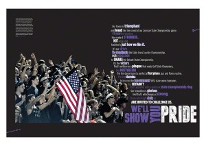 Chantilly High School 2014 Divider