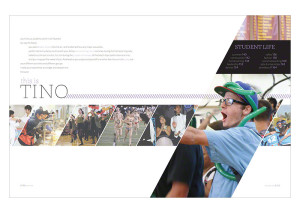 Cupertino High School 2014 Divider
