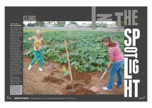 Dobson High School 2014 Divider