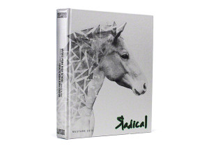 Myers Park High School 2014 Cover