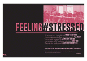 Ward Melville High School 2014 Divider