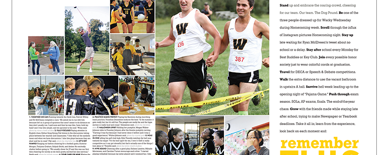 westfield hs openings