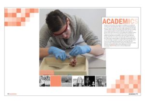 Rockwood Summit High School 2016 Divider