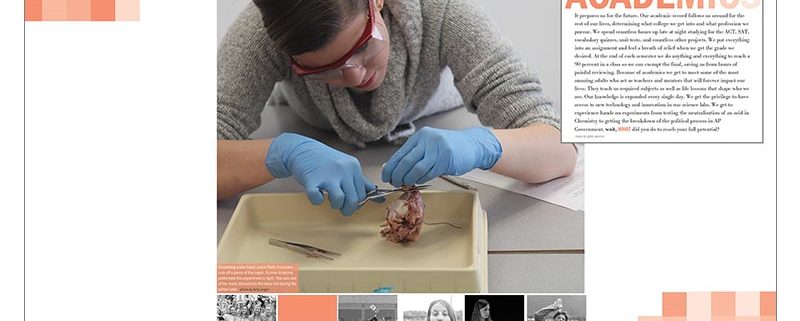 Rockwood Summit High School 2016 Divider