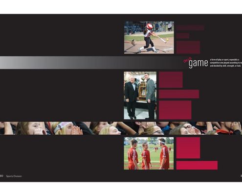 Fort Osage High School 2016 Divider