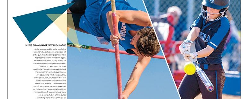 Ramona High School 2016 Divider