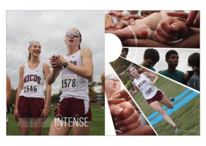 Mary Institute and St. Louis Country Day School 2016 Divider