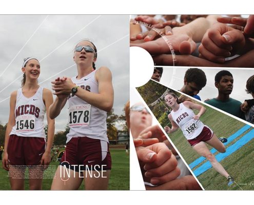 Mary Institute and St. Louis Country Day School 2016 Divider