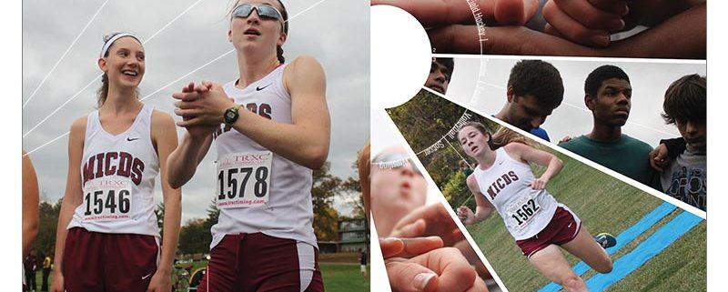 Mary Institute and St. Louis Country Day School 2016 Divider