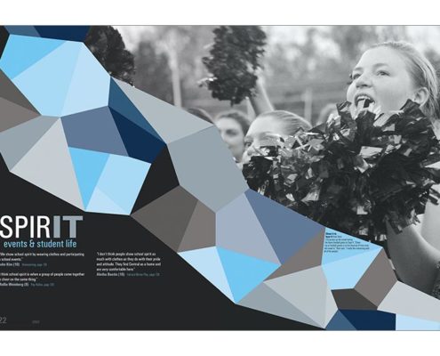 Parkway Central High School 2016 Divider