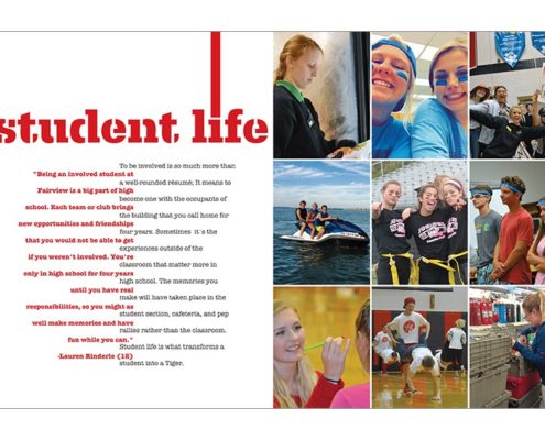 Fairview High School 2016 Divider