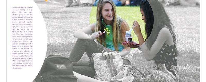 Franklin High School 2016 Divider