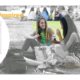 Franklin High School 2016 Divider