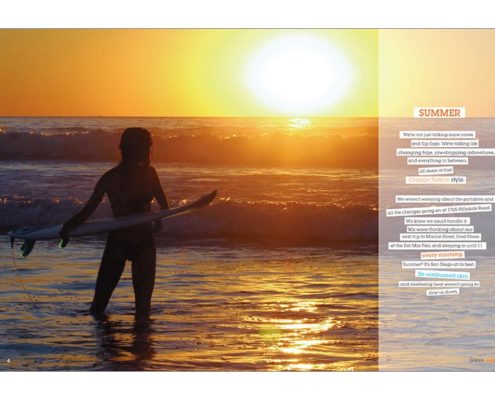 Valhalla High School 2016 Divider