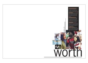 Mountain View High School 2016 Endsheet