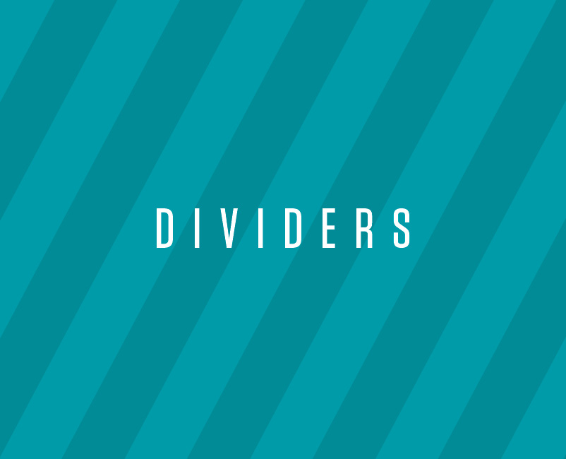 Dividers // 2017 Yearbook Discoveries